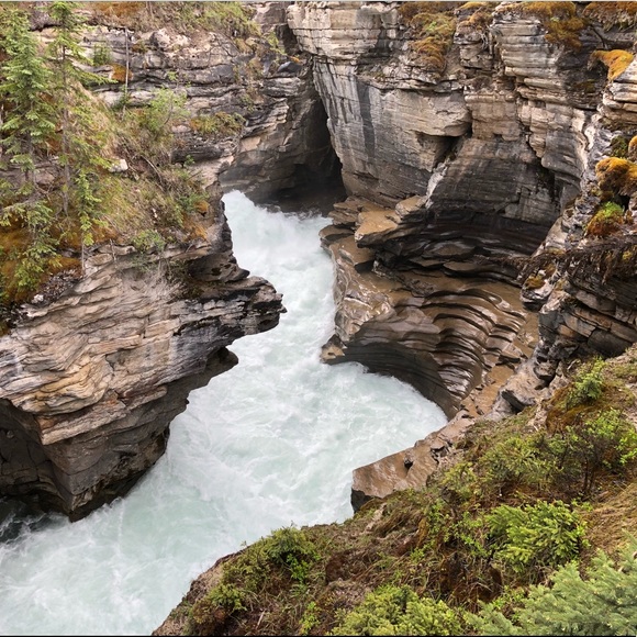 Meet your Posher - Picture 1 of 1